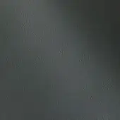 500244 - FOREST